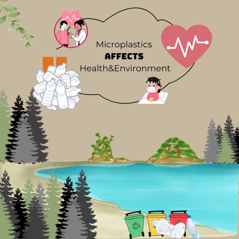 WhatsApp Image 2024-12-24 at 5.21.53 PM